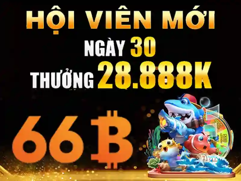 Ưu đãi 66b