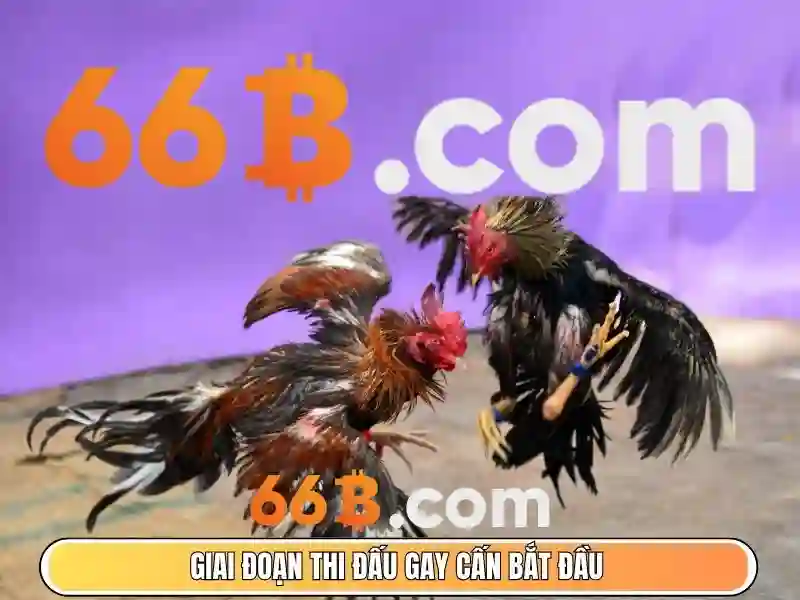 Trải Nghiệm Slot 66B 2026