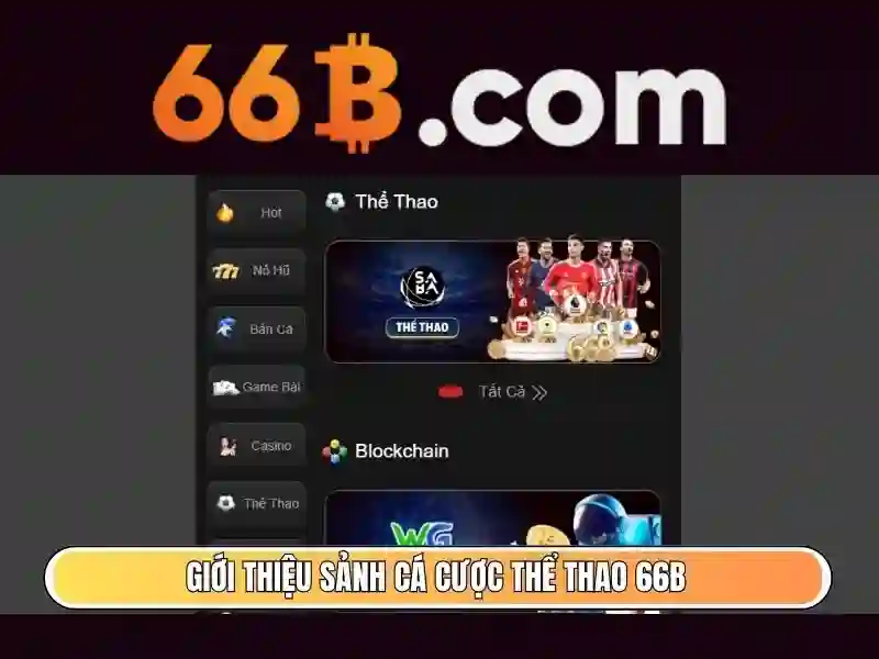 Giới Thiệu Về 66B