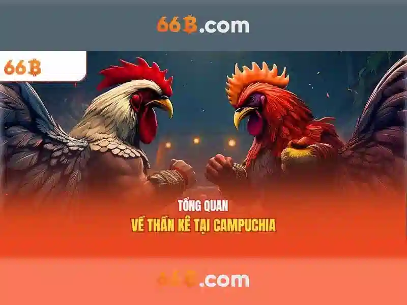HỖ TRỢ 66B