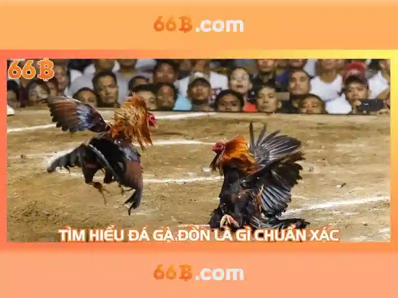 Khám phá đa dạng thể loại Slot trực tuyến trên 66B