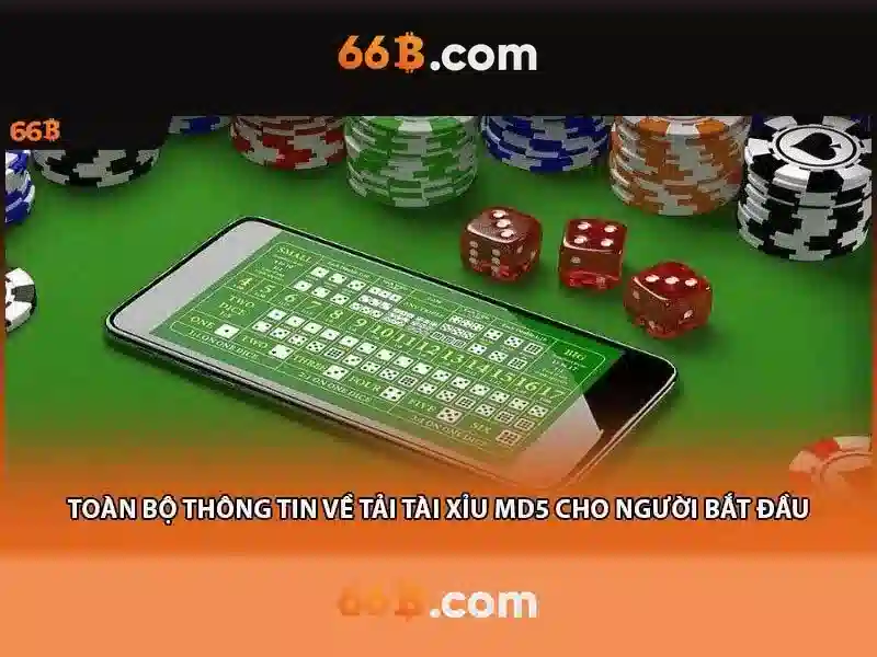 Ưu Đãi Đặc Biệt Cho Thành Viên 66B