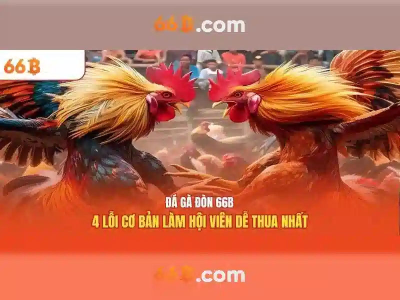 Ưu Đãi 66B