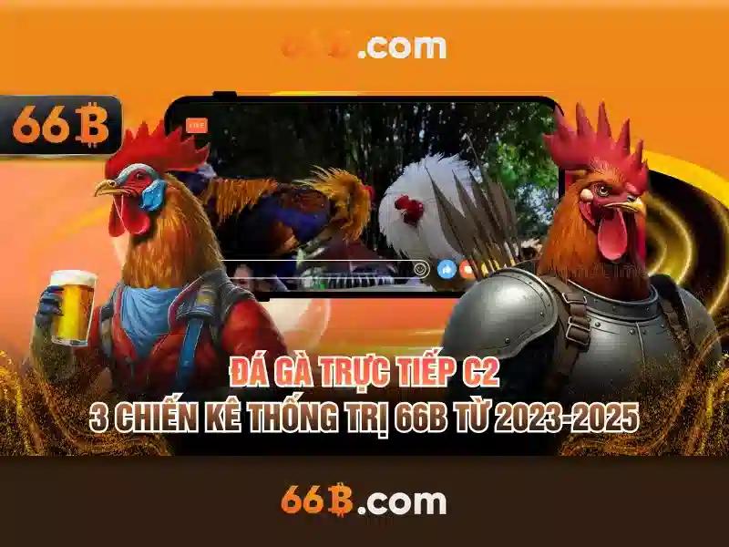 Bảo Mật 66B