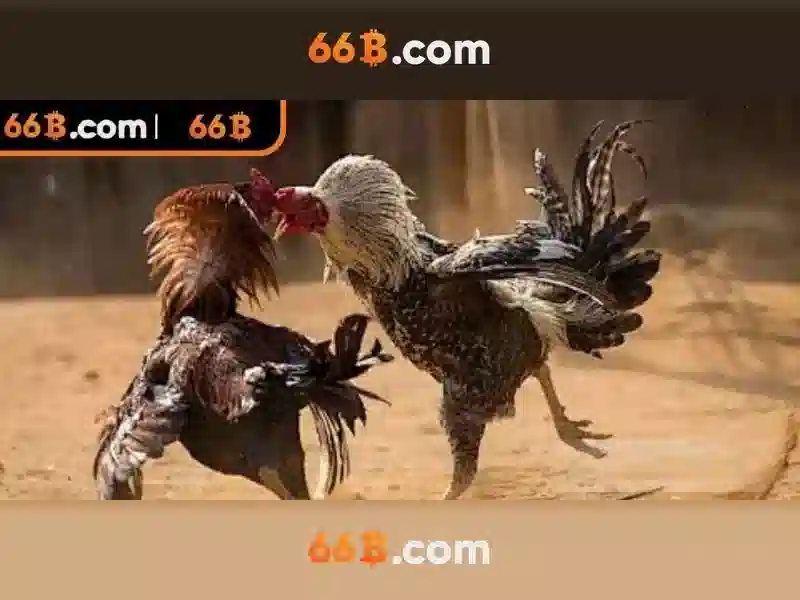 Ưu Điểm 66B