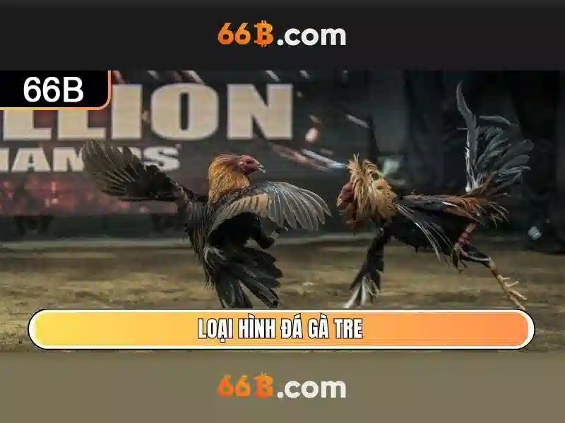 Hướng Dẫn Đăng Ký Tài Khoản 66B