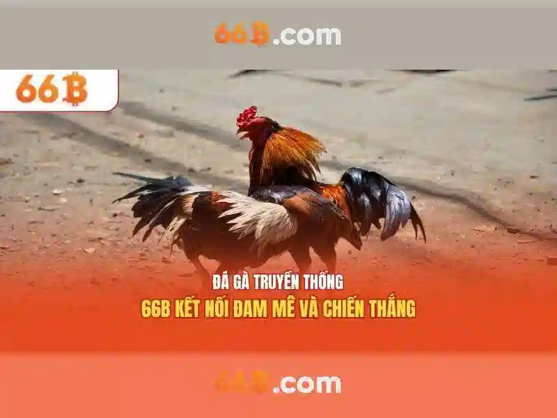 Trải Nghiệm Bắn Cá 66B