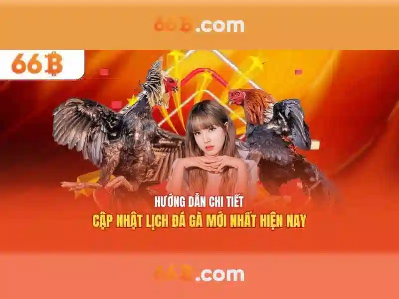 Tải 66B APK