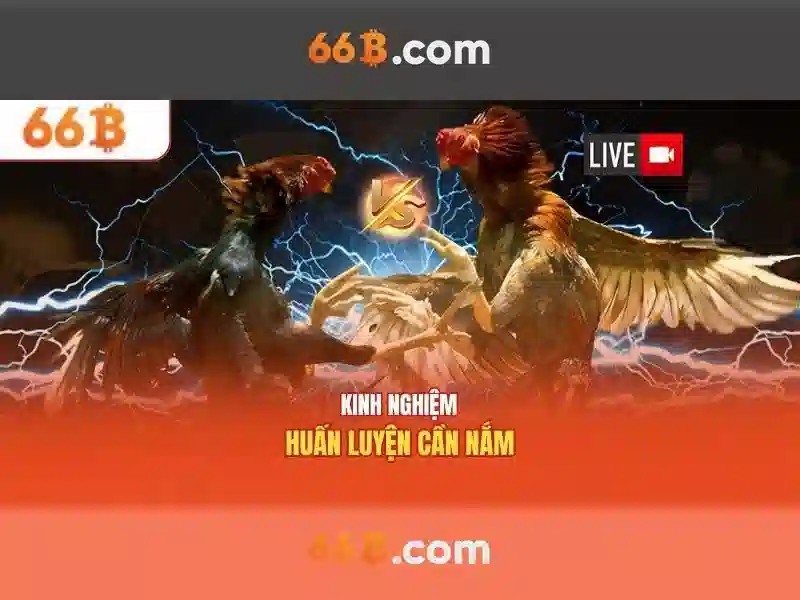 66B Ưu Đãi Slot