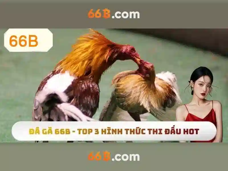 tải app slot 66b