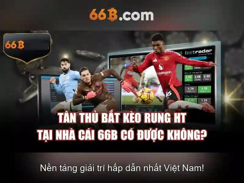Điều Khoản Sử Dụng 66B
