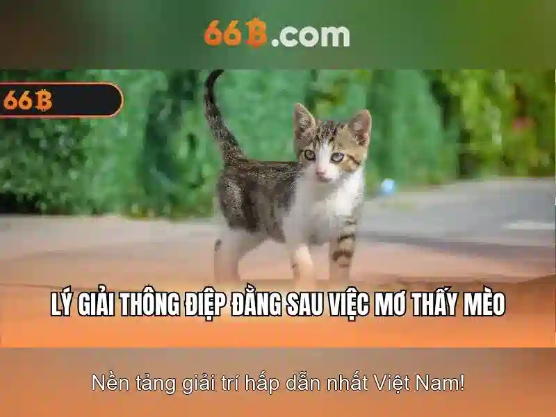 Hướng dẫn chơi Slot