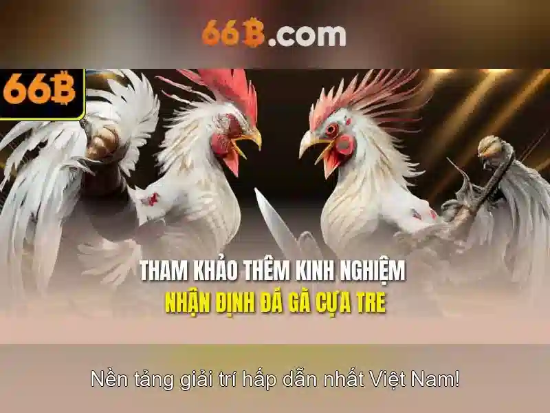Trải Nghiệm Slot Chất Lượng Cao