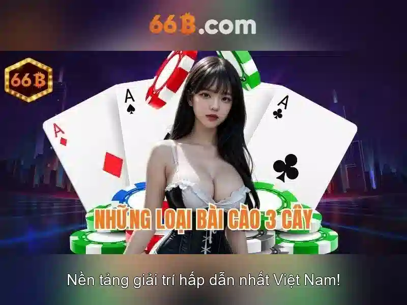 Tại Sao Nên Chọn 66B