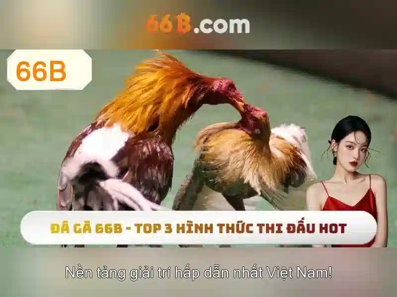 Trải nghiệm mượt mà trên 66b ios