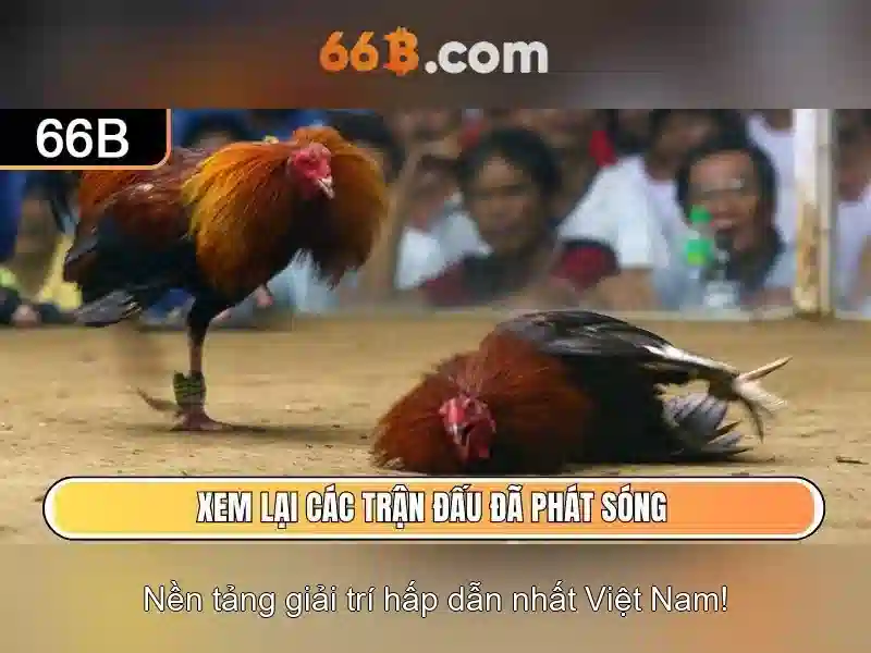 Quy Trình Nạp Tiền 66B