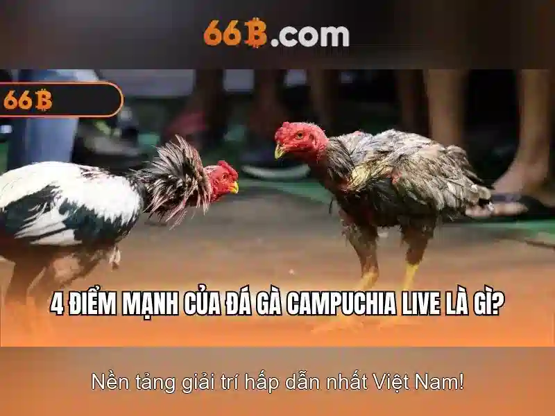 66B – Nền Tảng Slot Uy Tín Tại Việt Nam 2026