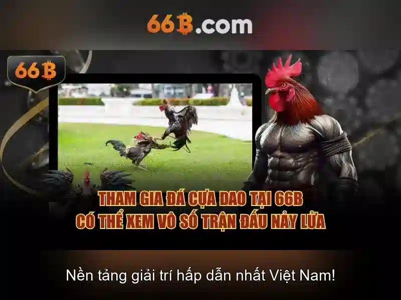 thưởng 66B