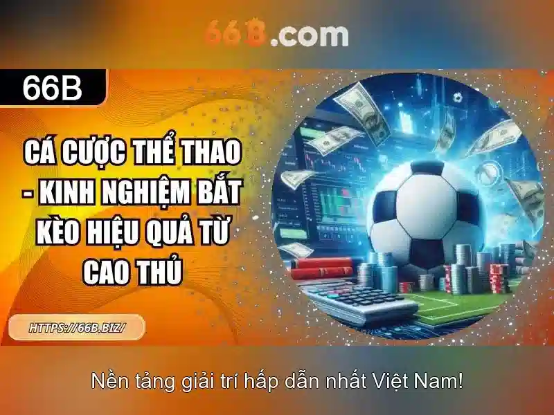 Đọc Kỹ Điều Kiện Khuyến Mãi 66B