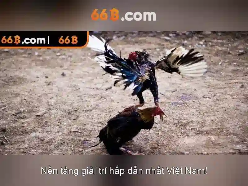 Tải APK 66B