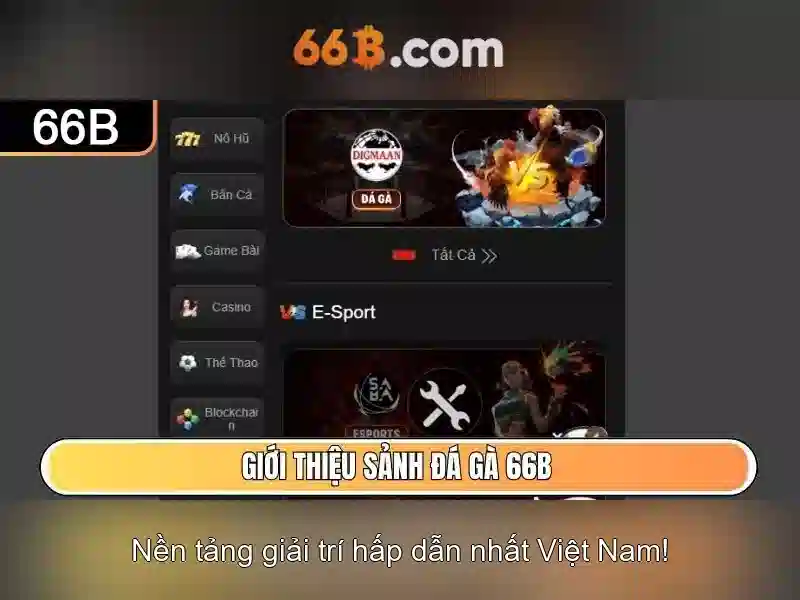 Lý Do Đăng Xuất Tài Khoản 66B