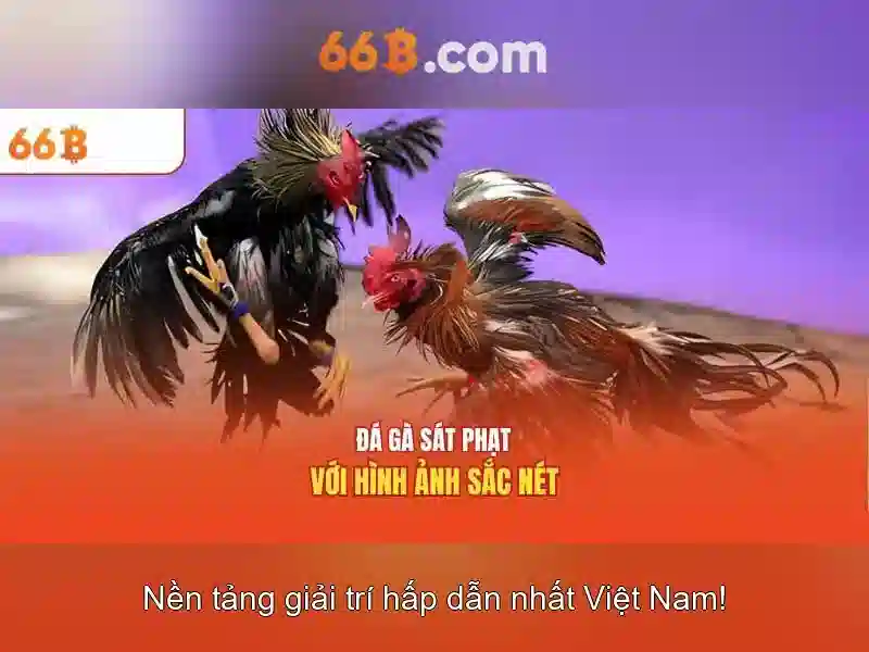 Quyền Lợi Đăng Xuất 66B