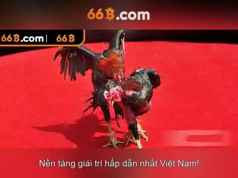 SLOT 66B