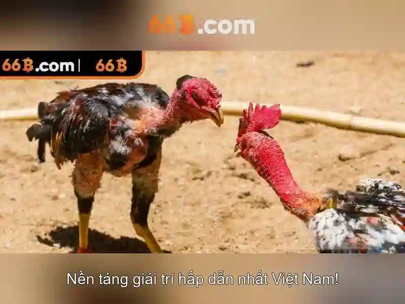 Trải Nghiệm Slot 66B – Đẳng Cấp Cao Cấp