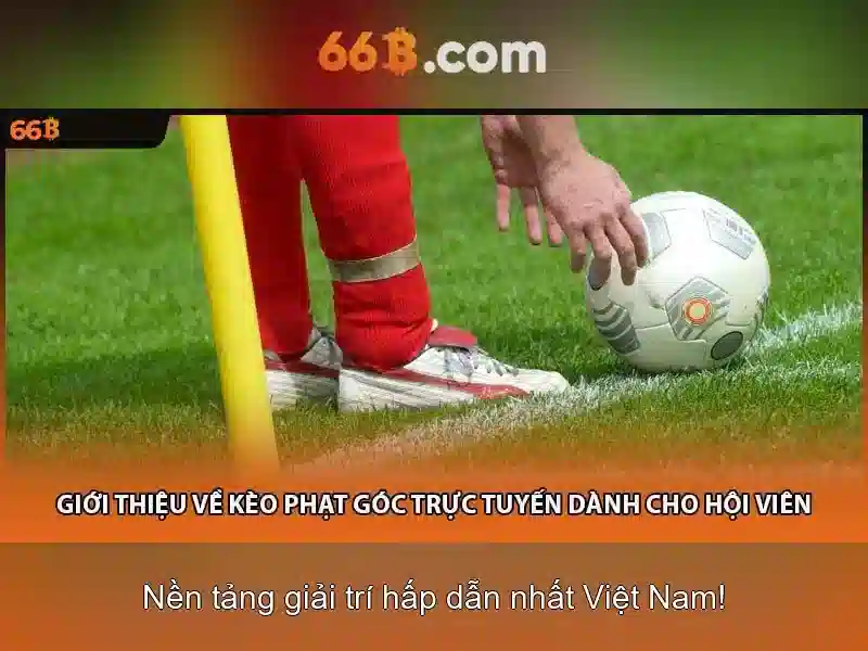 Khám Phá 66B