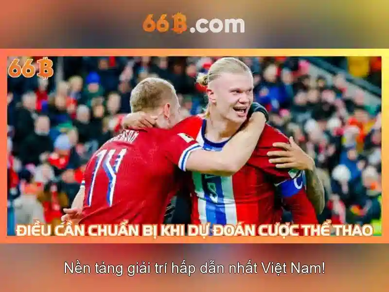 khuyến mãi nhập code 66b