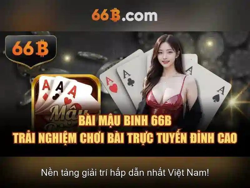 Tính Năng 66B