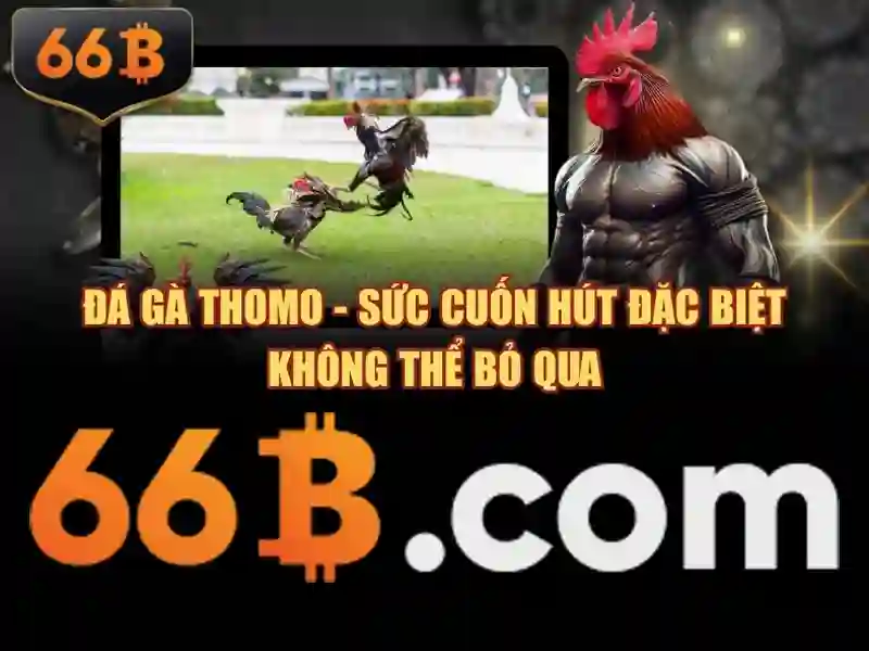 66B Tặng Tiền