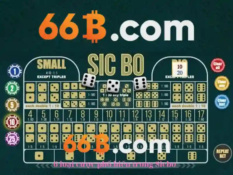 Tài Khoản 66B