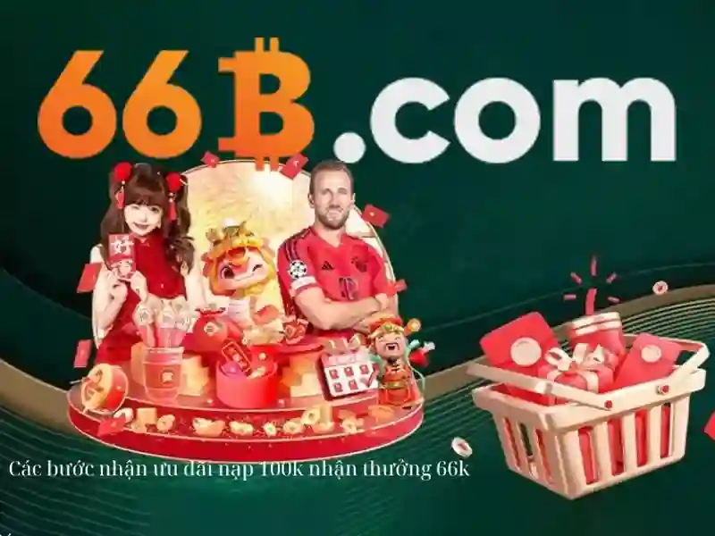 Chính Sách Miễn Trừ Trách Nhiệm 66B