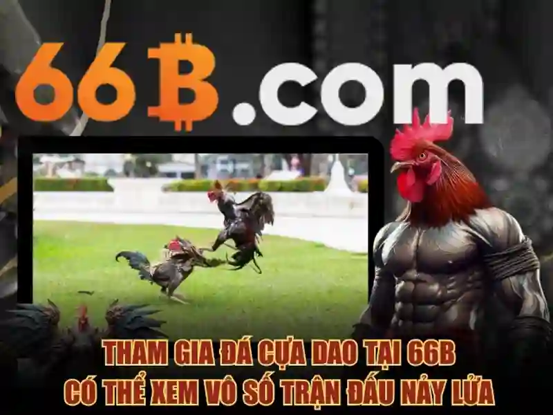 Giải Pháp Tối Ưu Cho Người Chơi SLOT