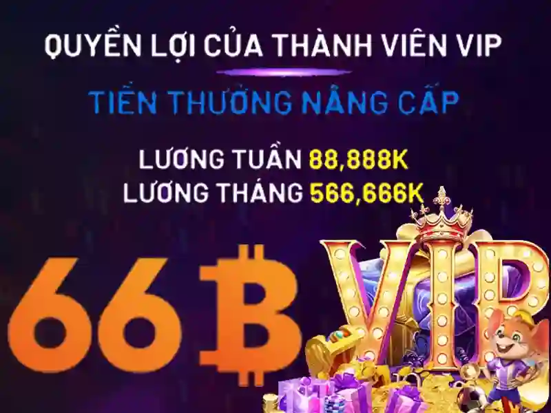 Tại Sao Chọn 66B